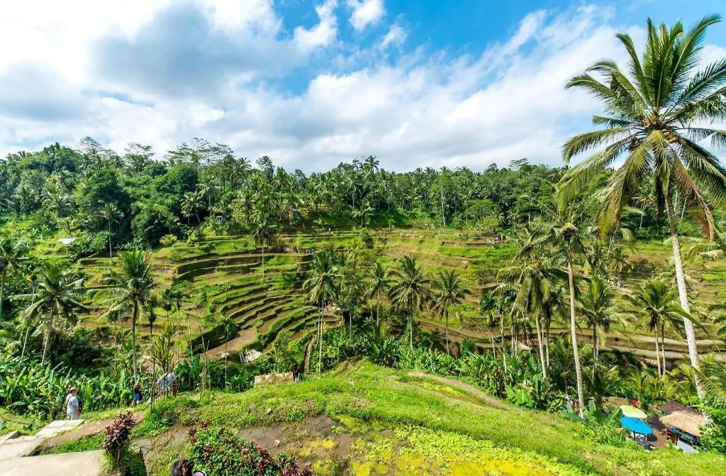 Caldera Hotel & Restaurant BALI 0*,  Indonesia